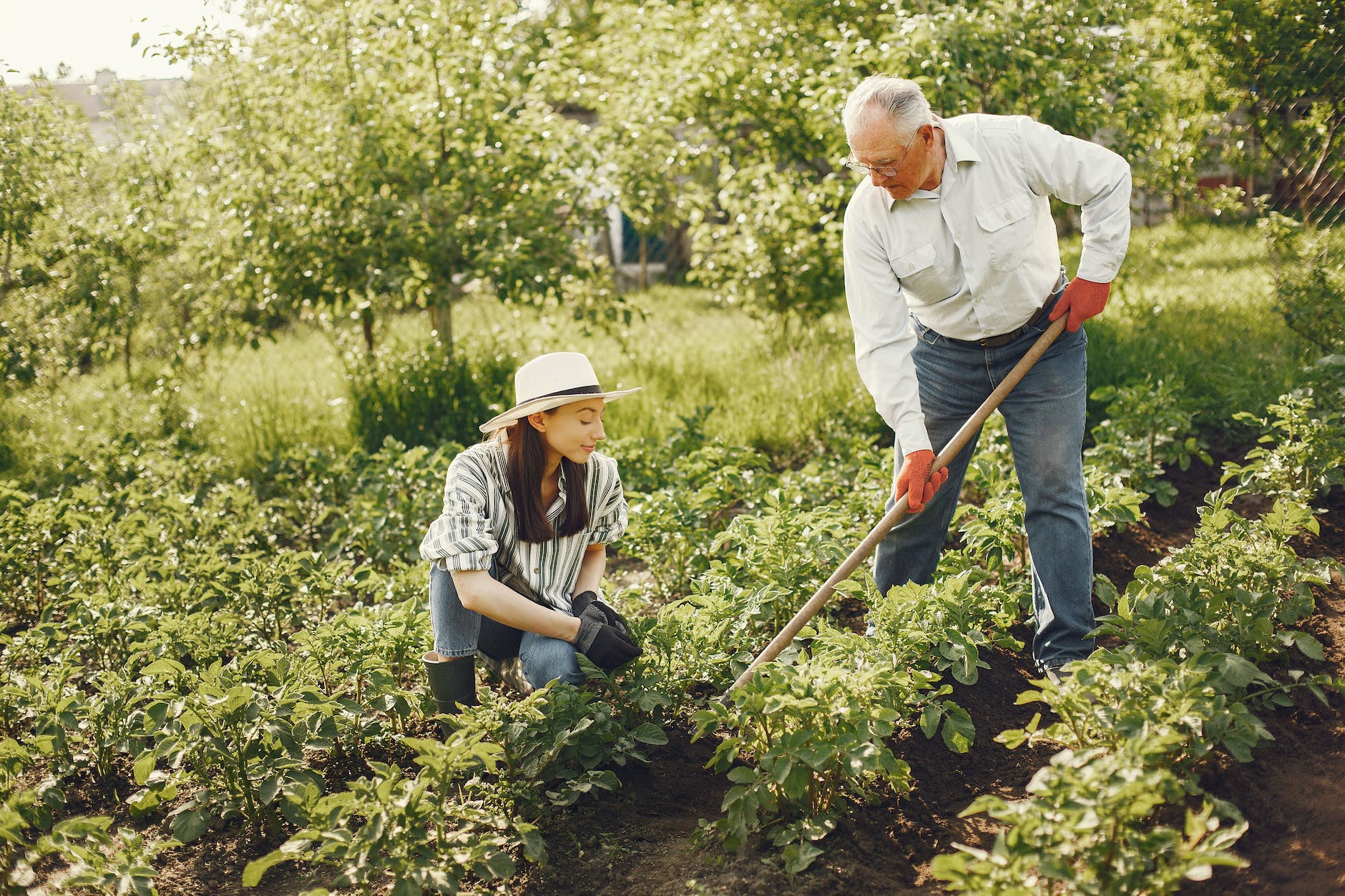 father and daughter gardening